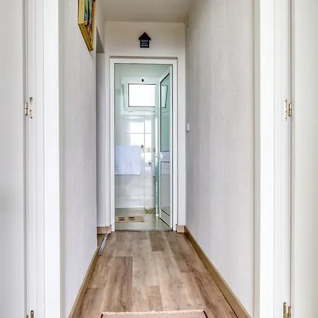 Hills, A In Madeira Funchal (Madeira)