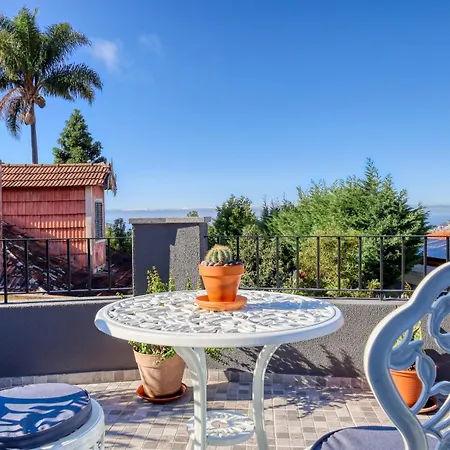 Hills, A In Madeira * Funchal (Madeira)