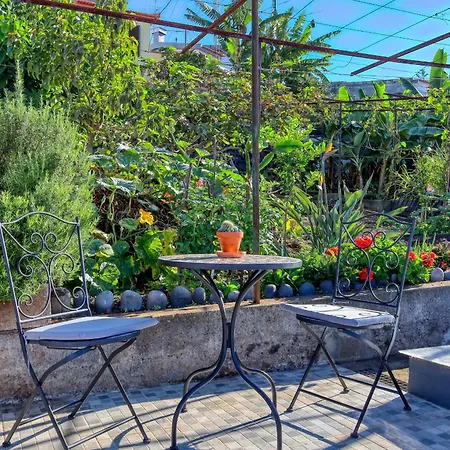 Hills, A In Madeira *