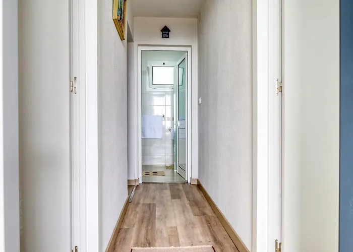 Hills, A In Madeira Funchal (Madeira)