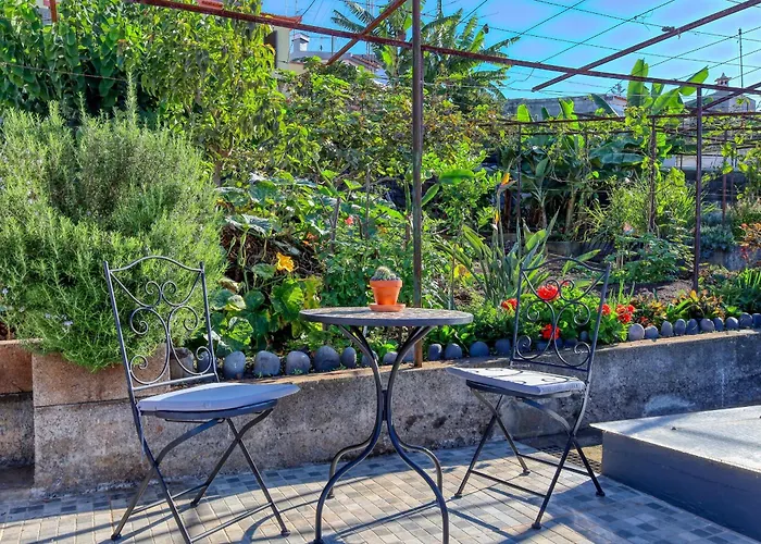 Hills, A In Madeira *