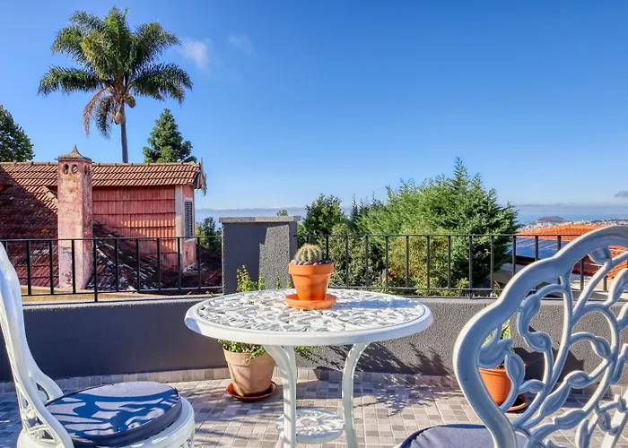 Hills, A In Madeira * Funchal (Madeira)